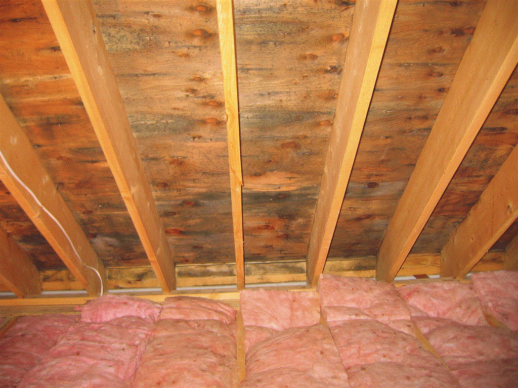 Attic insulation in Waterord